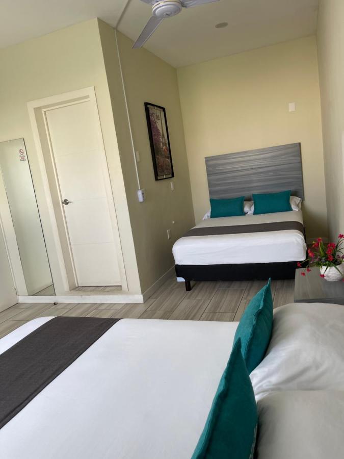 Constanza Loft