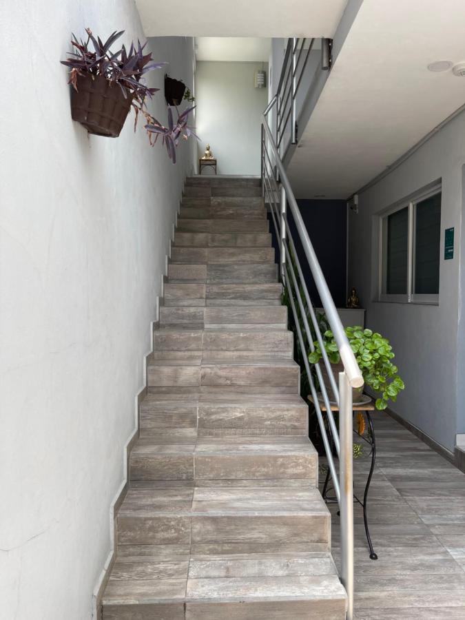 Constanza Loft 3*