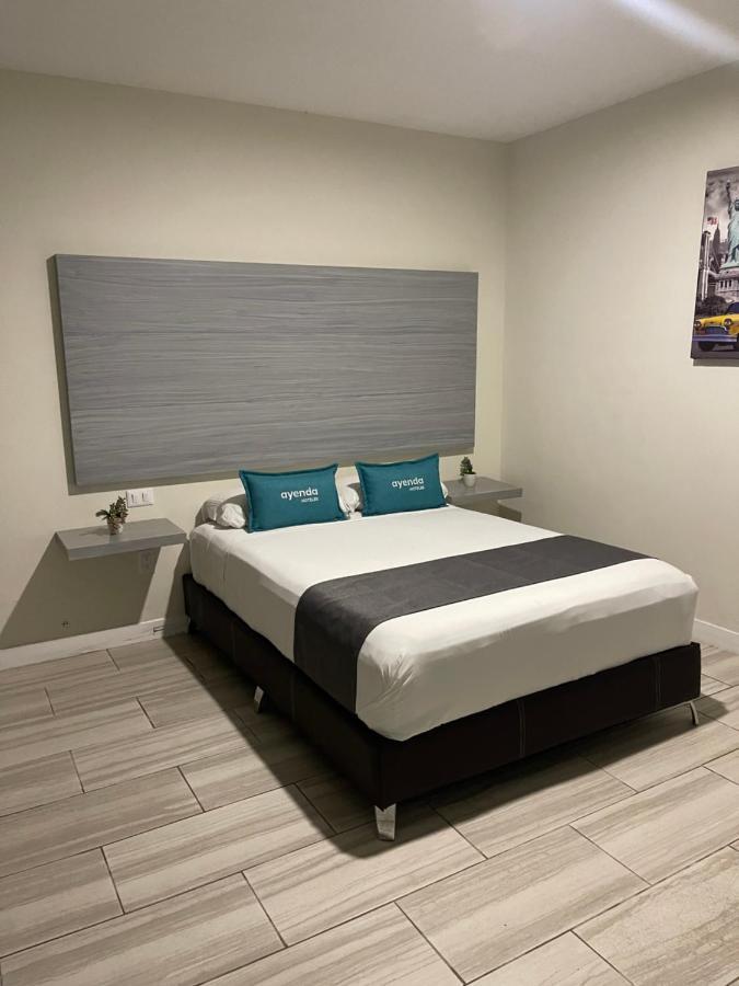Constanza Loft Zapopan