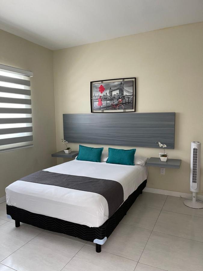 Constanza Loft 3*