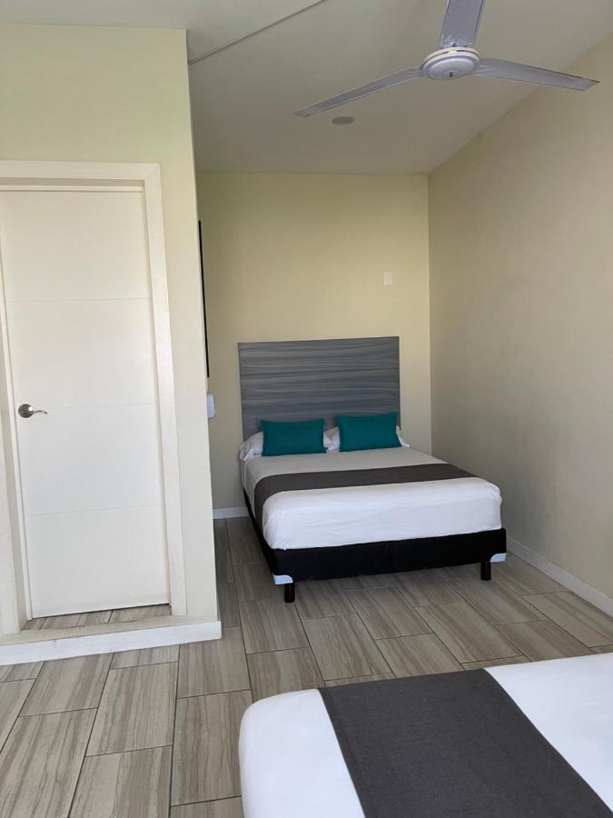Constanza Loft 3*